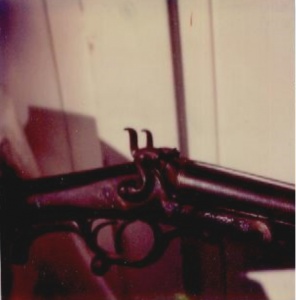 Purported Amanda Cobb shotgun Purported Amanda Cobb shotgun